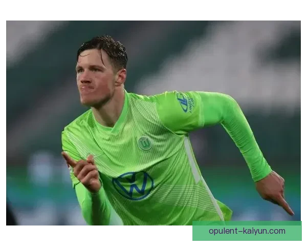 狼堡整体实力 狼堡整体实力