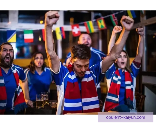 奥地利在2020欧洲杯八强之旅中展现出竞争力增强的状态分析